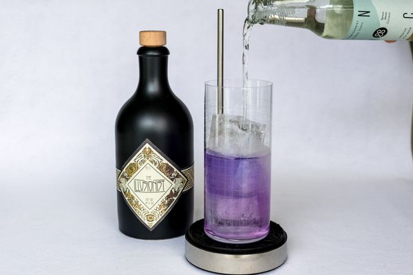 Gin & Tonic