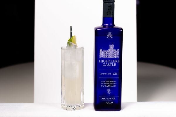 Grapefruit Rickey